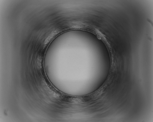 X0000101220106200807111106