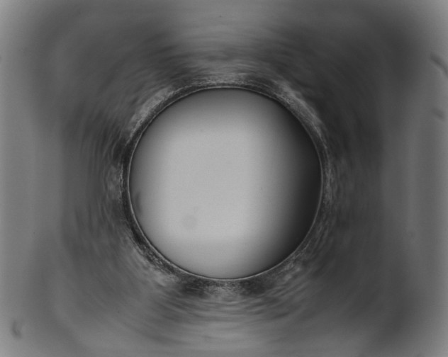 X0000101220107200807111106