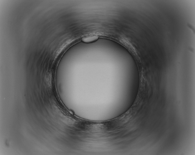 X0000101220108200807111106