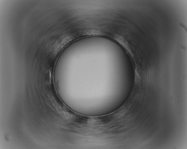 X0000101220109200807111106