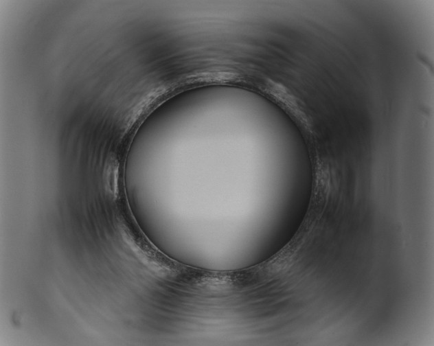 X0000101220110200807111106