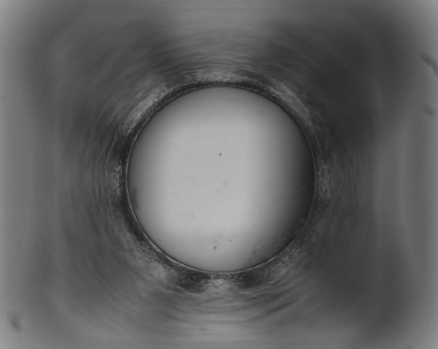 X0000101220111200807111106