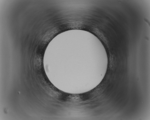 X0000101220113200807111106