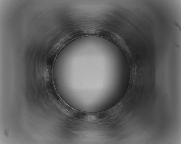 X0000101220114200807111106