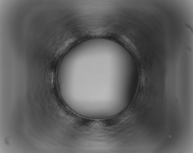 X0000101220115200807111106