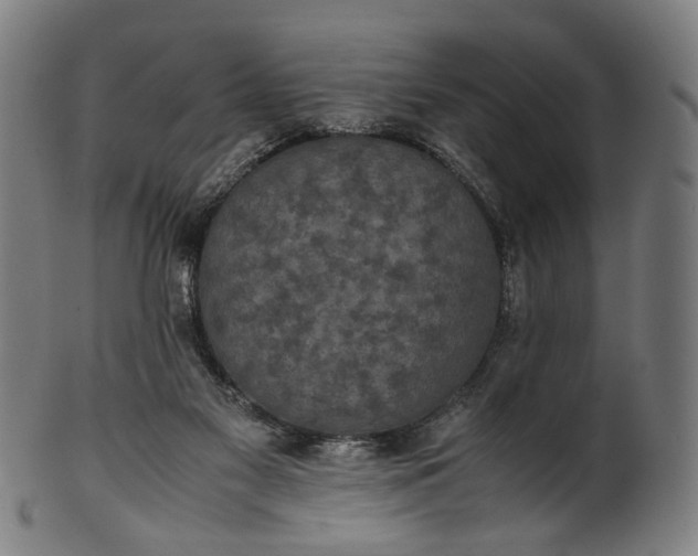 X0000101220117200807111106