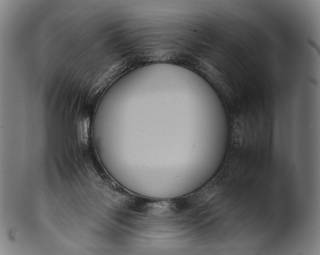 X0000101220118200807111106
