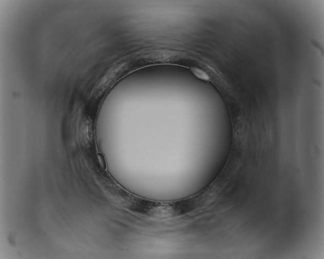 X0000101220119200807111106