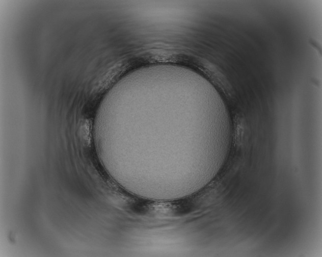 X0000101220121200807111106