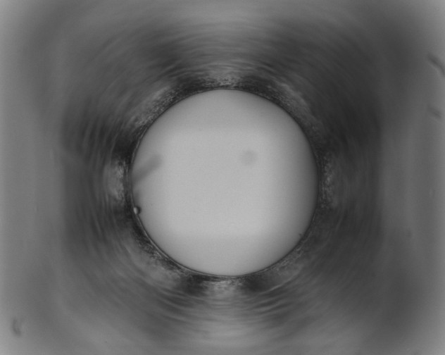X0000101220122200807111106