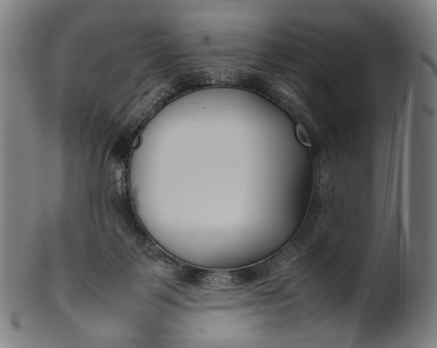 X0000101220123200807111106