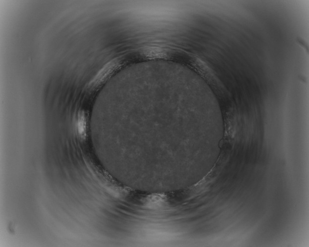 X0000101220124200807111106