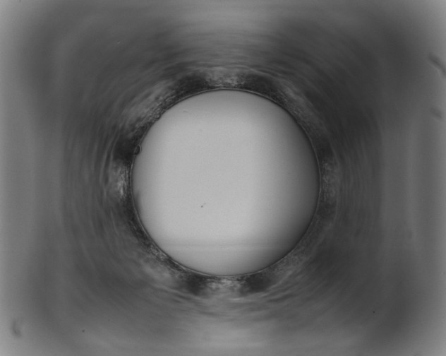 X0000101220125200807111106