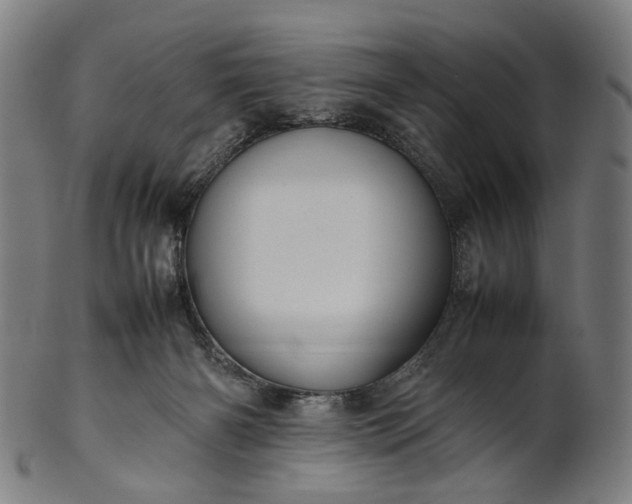 X0000101220126200807111106