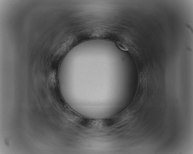 X0000101220127200807111106