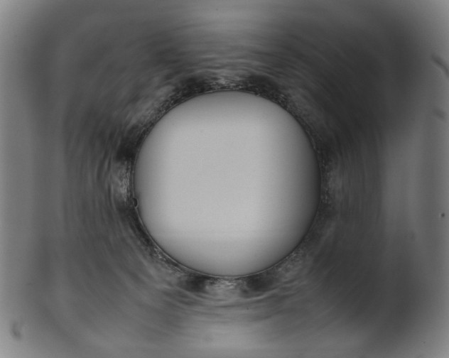 X0000101220129200807111105