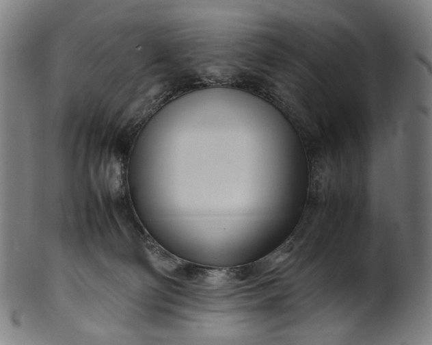 X0000101220130200807111105