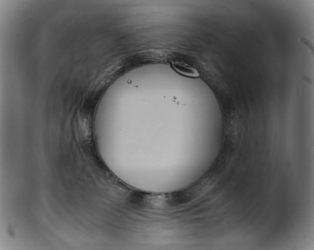 X0000101220131200807111105