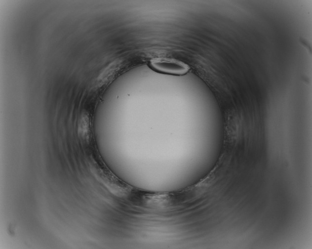 X0000101220132200807111105