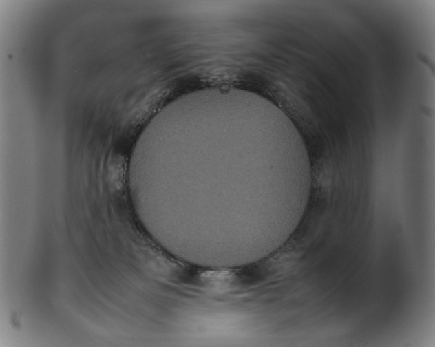 X0000101220133200807111105