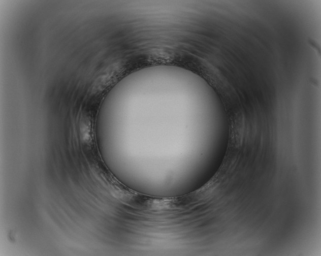 X0000101220134200807111105