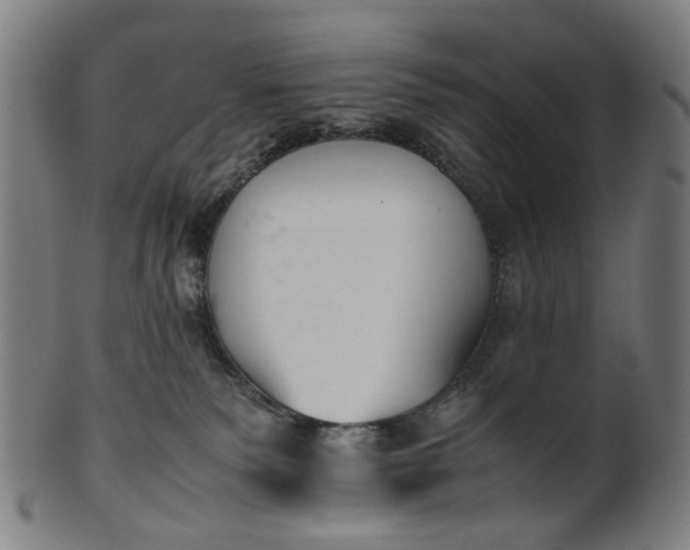 X0000101220135200807111105