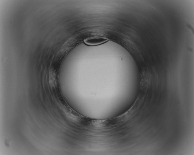 X0000101220136200807111105
