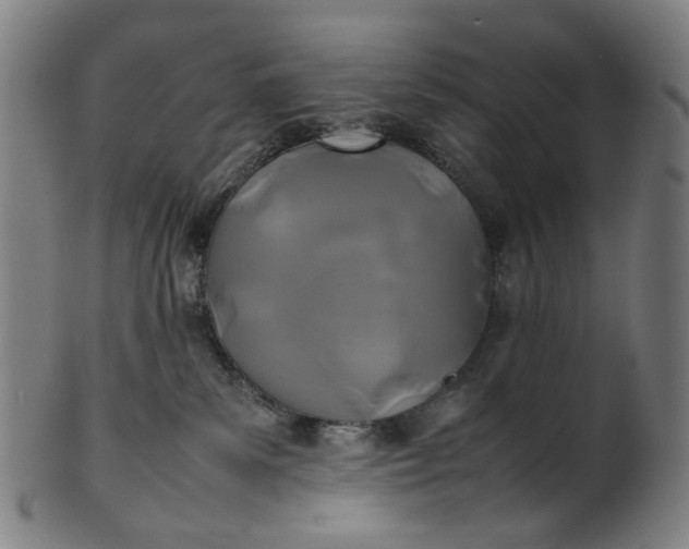 X0000101220139200807111105