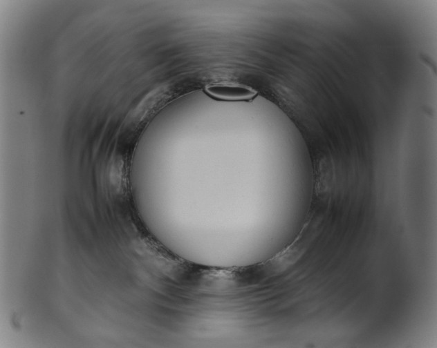 X0000101220140200807111105