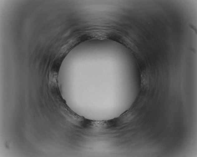 X0000101220141200807111105
