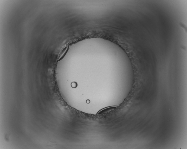 X0000101220144200807111105