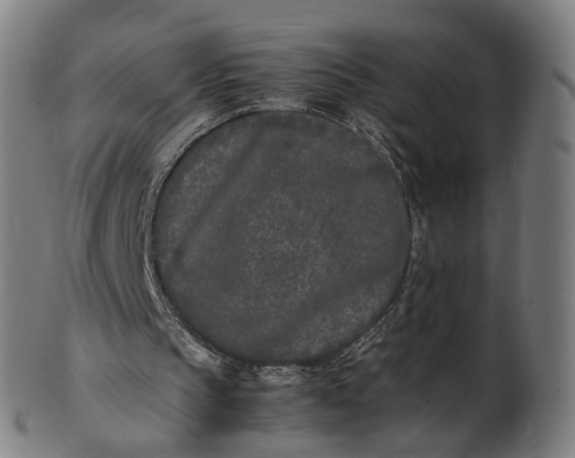 X0000101220145200807111105