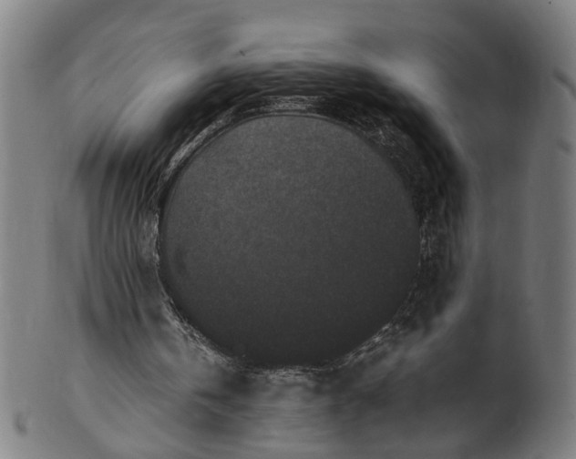 X0000101220146200807111105
