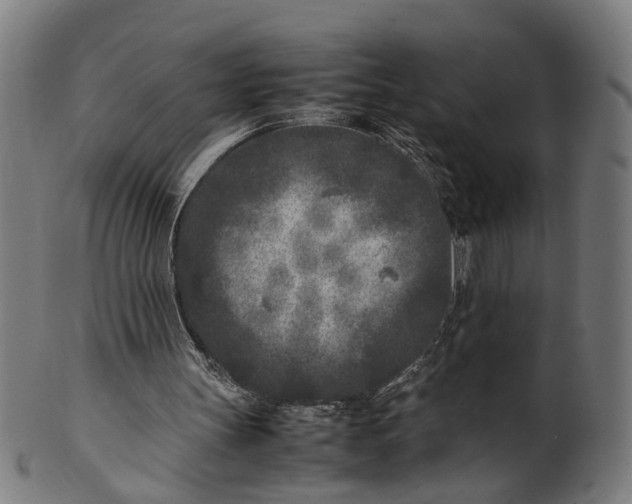 X0000101220147200807111105
