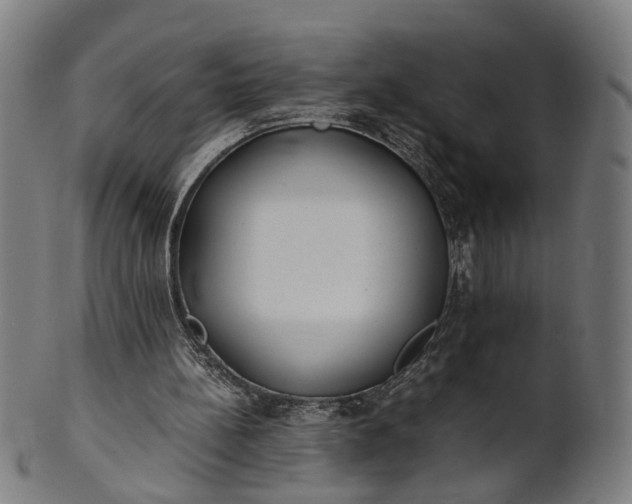 X0000101220148200807111105