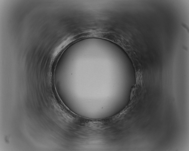 X0000101220150200807111105