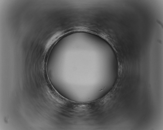 X0000101220151200807111105