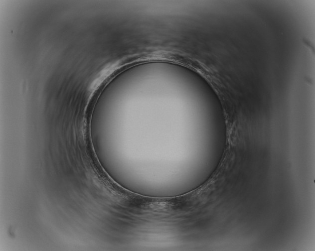 X0000101220152200807111105