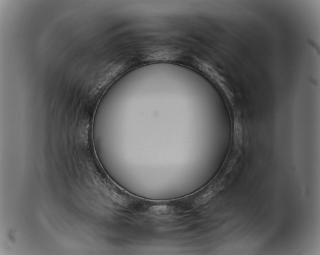 X0000101220153200807111105
