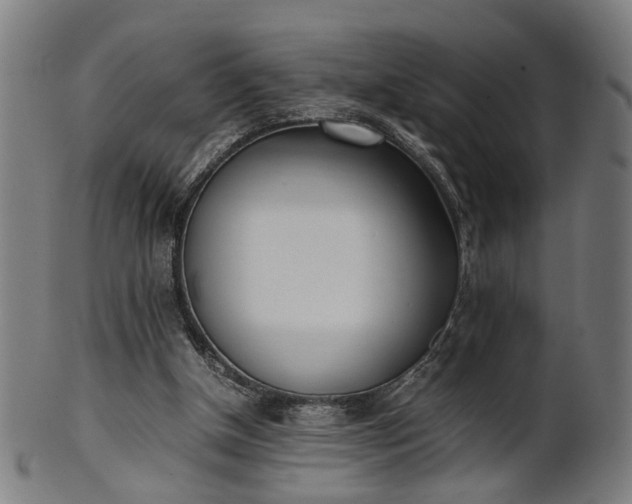 X0000101220154200807111105