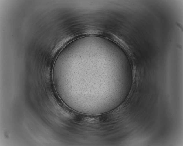 X0000101220155200807111105