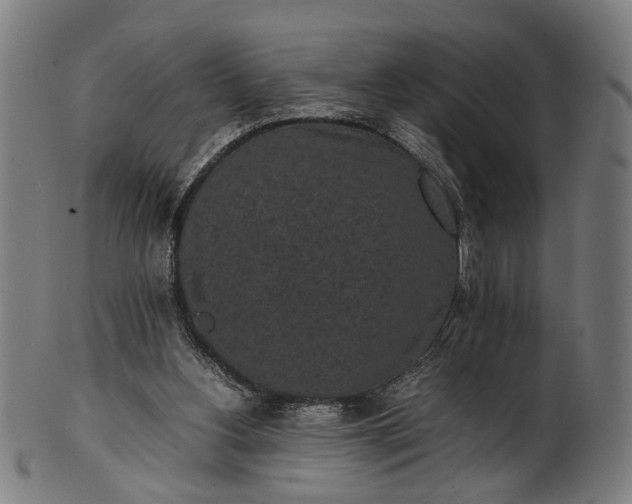 X0000101220156200807111105