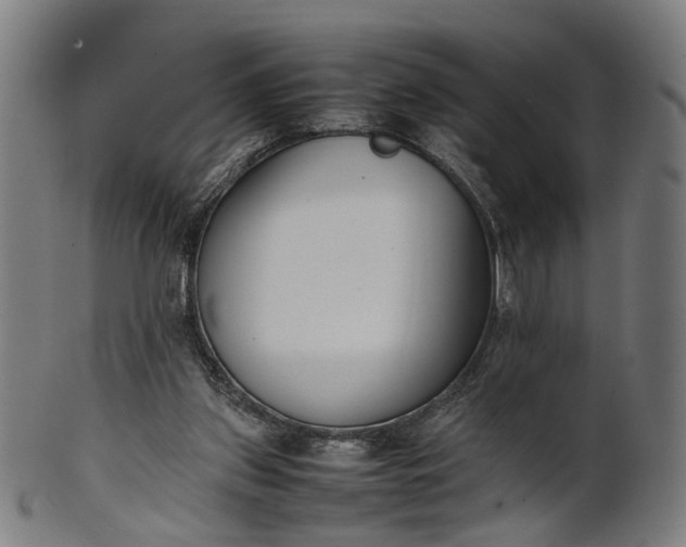 X0000101220157200807111105