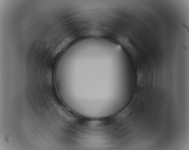 X0000101220158200807111105