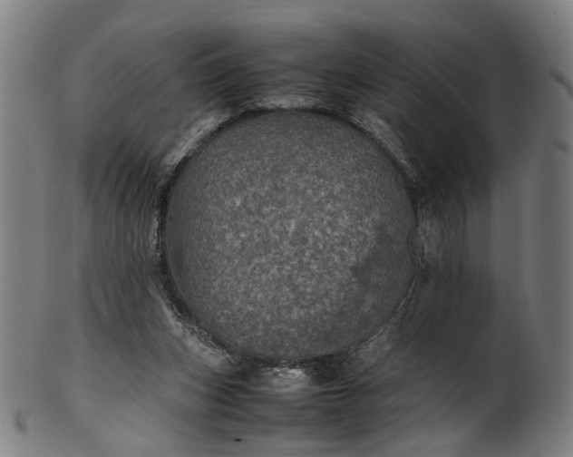 X0000101220159200807111105