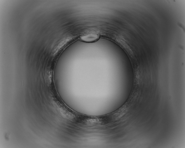 X0000101220160200807111105
