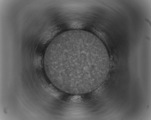 X0000101220162200807111105