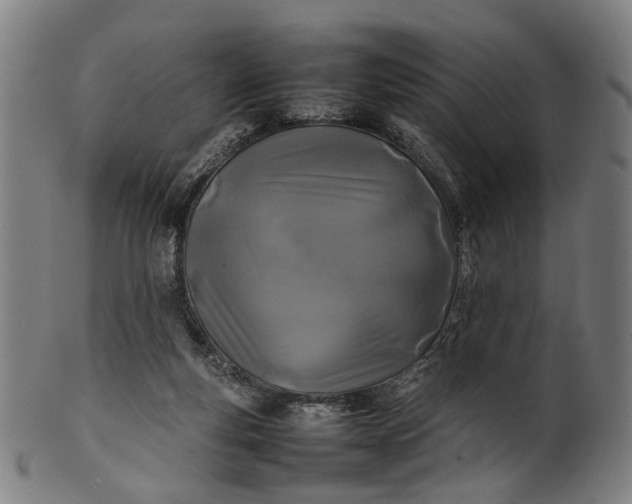 X0000101220163200807111105