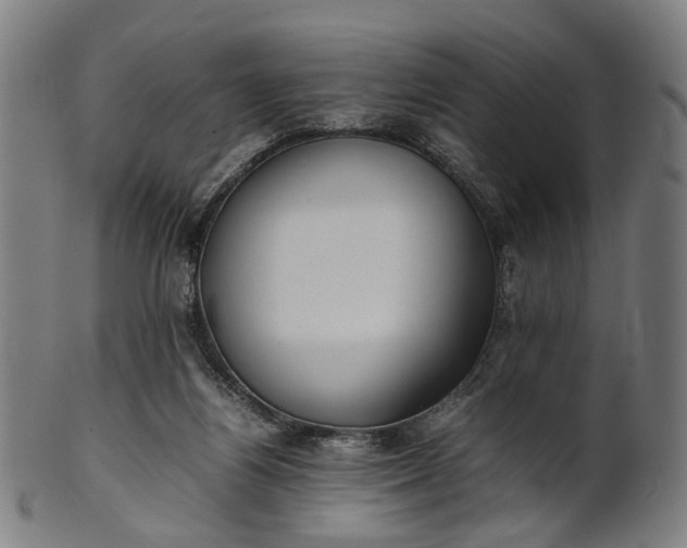 X0000101220164200807111105