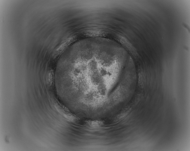 X0000101220165200807111105